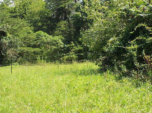 2nd image of 1228 Deer Lodge Hwy E