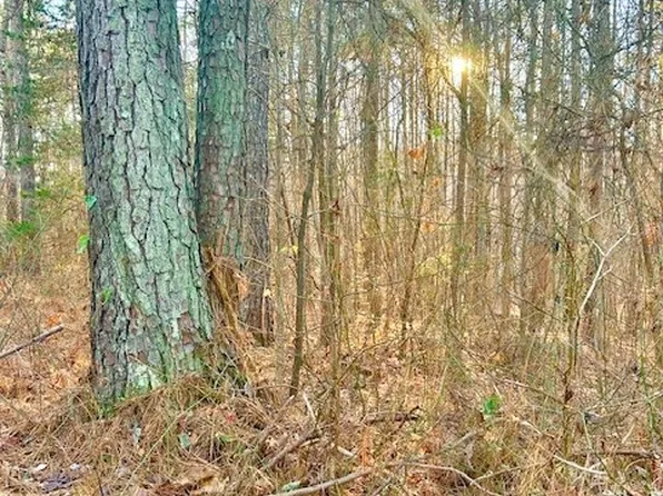 19331 River Rd, Chesterfield, VA 23838