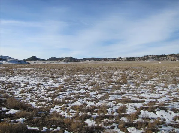 0 Buffalo Drive LOT 4961, Hartsel, CO 80449