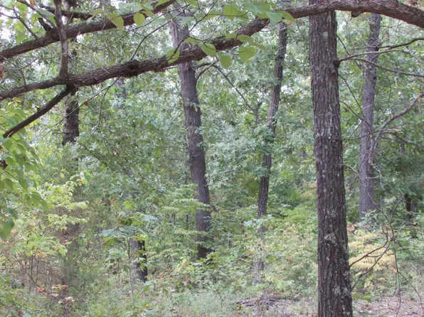 0 County Road 553A, Gainesville, MO 65655