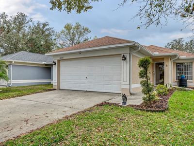 18104 Canal Pointe St, Tampa, FL, 33647