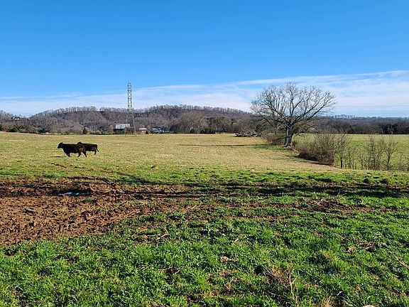 3rd image of 660 Tom Breeden Rd Lot 5