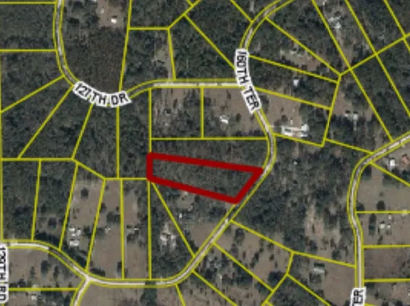 160th Ter, Mc Alpin, FL 32062