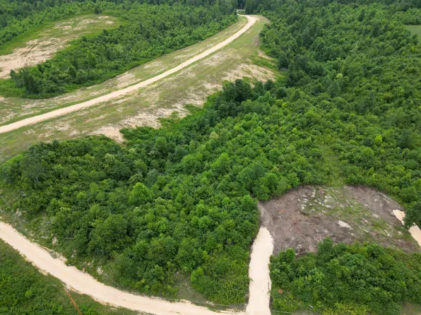 0 Twin Pines Overlook Tract 1, Lobelville, TN 37097