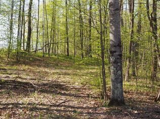 LOT 1 E Connors Lake Rd, Webster, WI 54893
