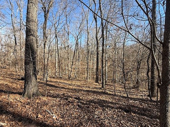 5th image of 12880 Nichols Rd