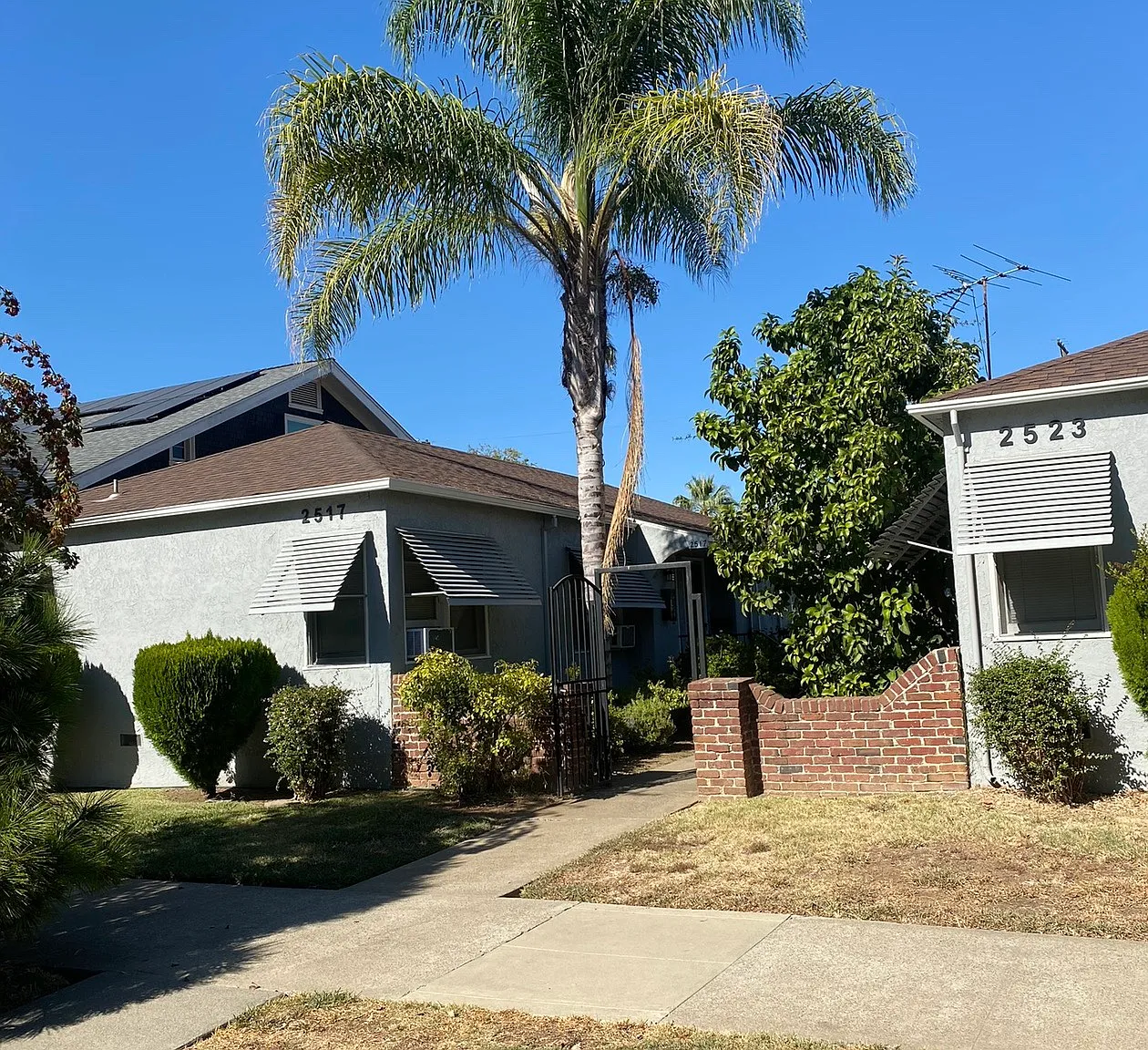 1 bed, 650 sqft, $1,600 — Photo 1