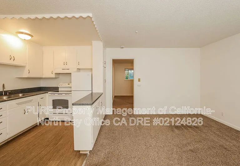 555 Dexter St #B — Photo 12