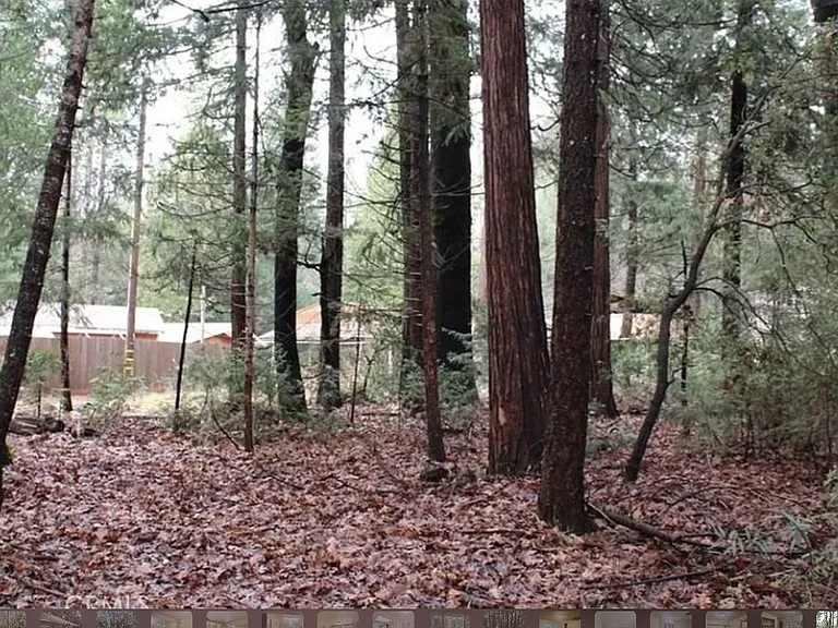 14737 Wildlife Dr — Photo 15