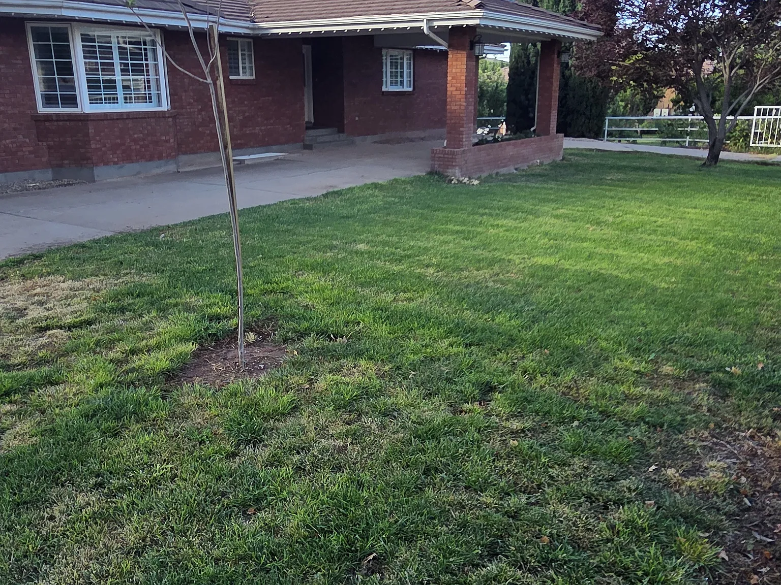 2 bed, 2400 sqft, $2,450 — Photo 2