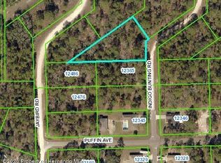 12375 Indigo Bunting Rd, Weeki Wachee, FL 34614