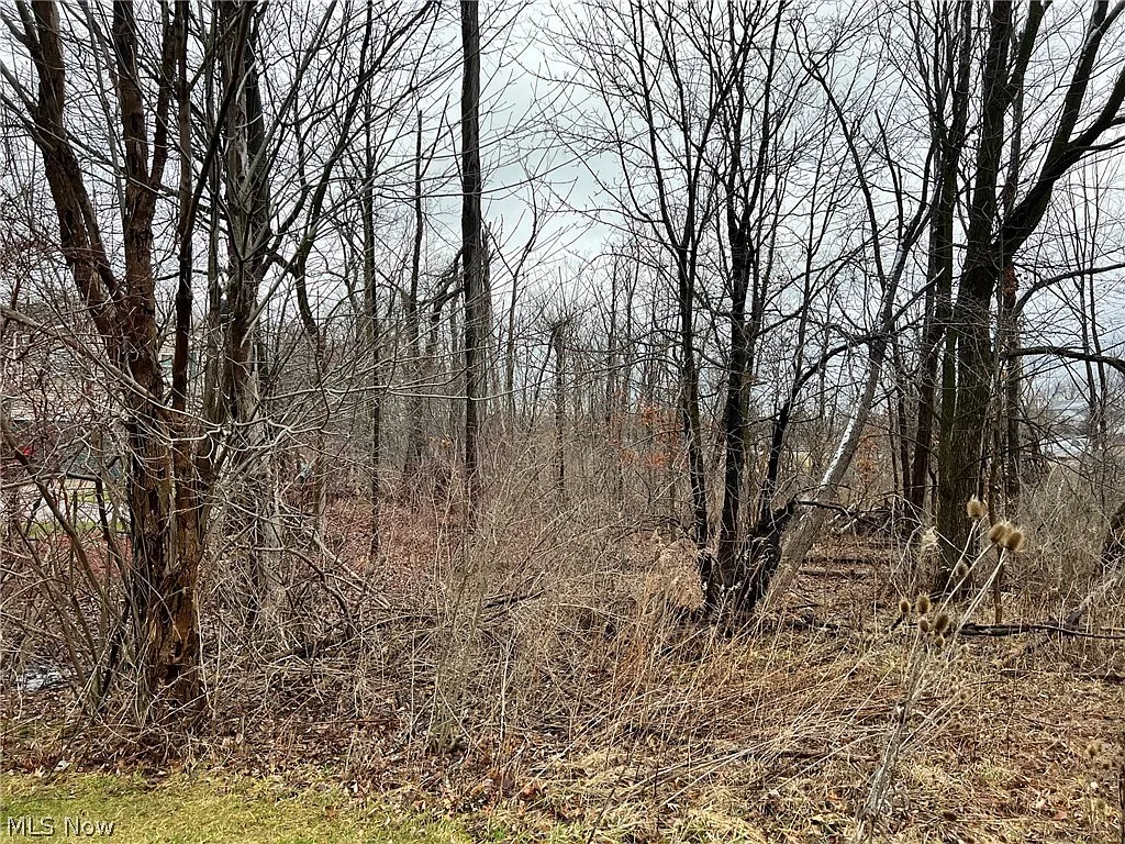 15604 Boston Rd photo 1