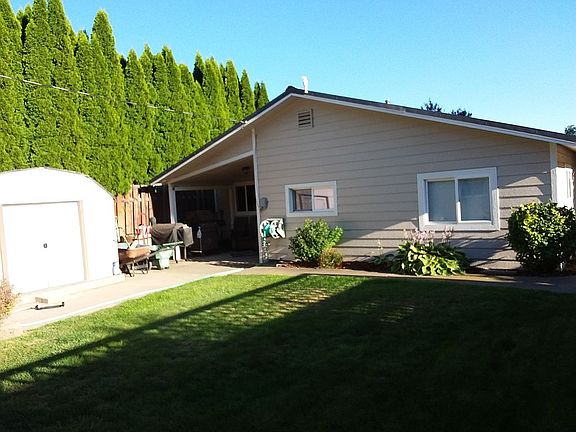 Back yard. Shed. Barbecue ar