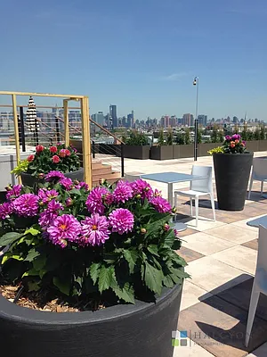 Rented by Halcyon Management Group LLC | media 25