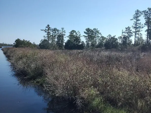 Tract B Meekins Road, Bayboro, NC 28515