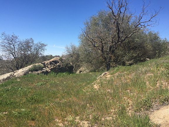 One of the upper terraces