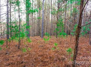 LOT 11 Destiny Dr LOT 11, Mill Spring, NC 28756