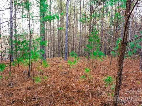 LOT 11 Destiny Dr Lot 11, Mill Spring, NC 28756