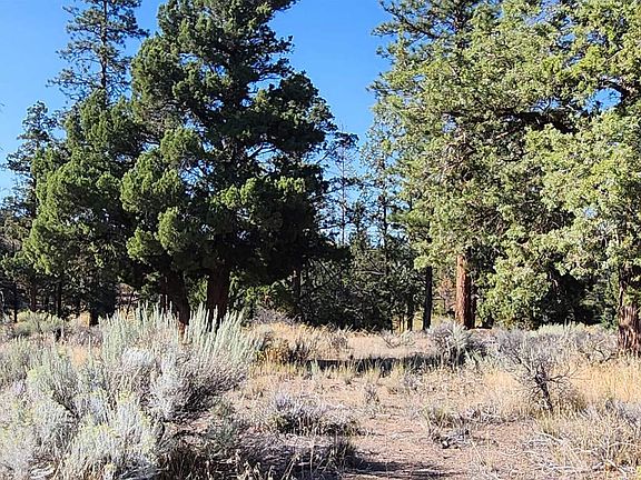 5th image of LOT 273 Riverside Dr