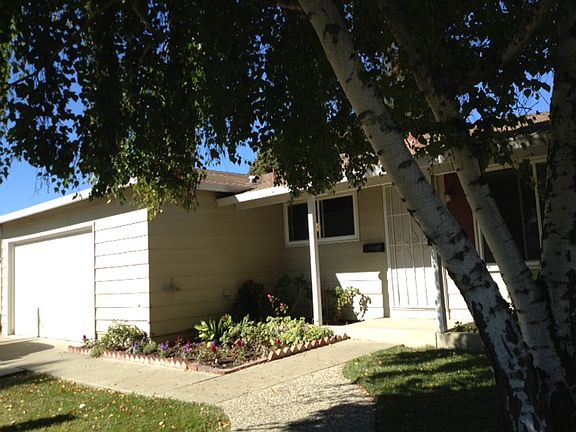 2nd image of 683 Torreya Ave