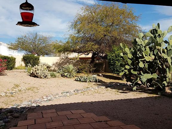 Large Back Yard