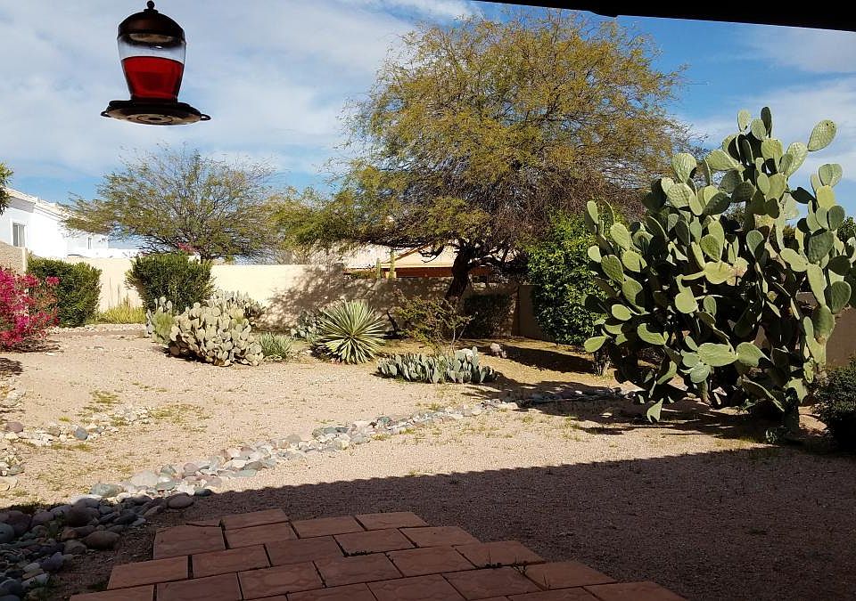 Large Back Yard