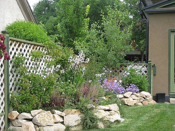 Flower beds in back garden