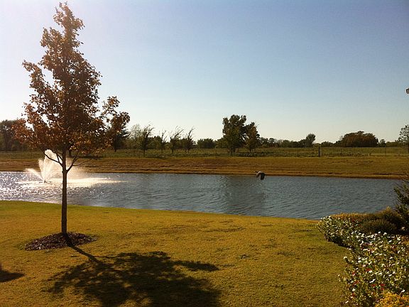 view from front yard