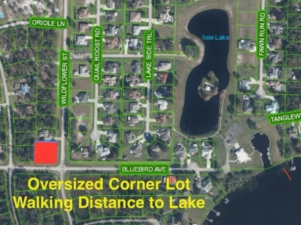 1100 Wildflower St, Lake Placid, FL 33852