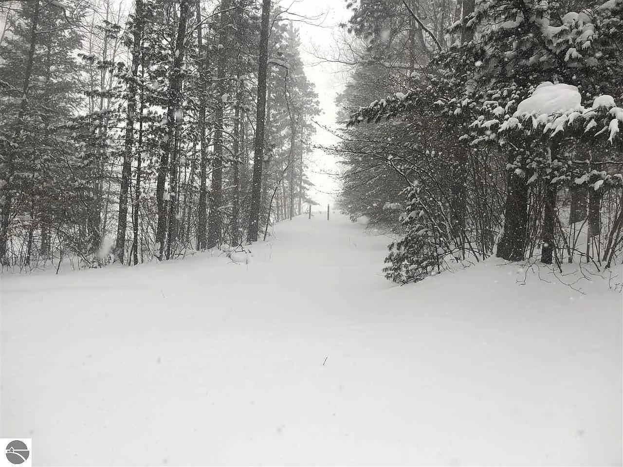 Aspen Ridge Rd photo 1
