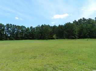 308 Wild Blueberry Ln, Conway, SC 29527