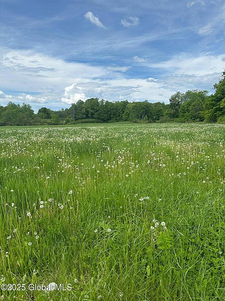 4th image of L 12.9 Mountainside Meadow Way