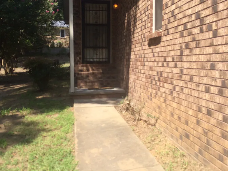 3806 Vickie Dr — Photo 4