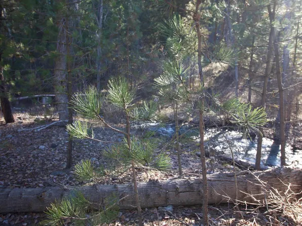 LOT 13 Creekside Ct, Garden Valley, ID 83622