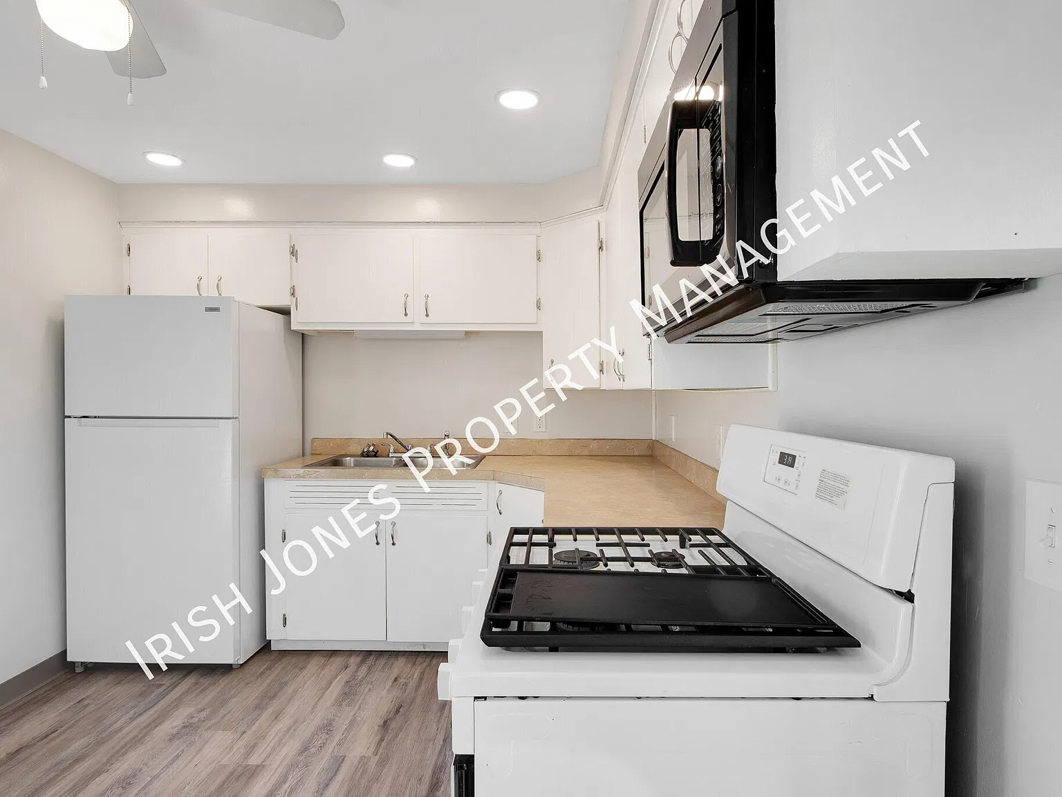 2 bed, 810 sqft, $1,200 — Photo 2