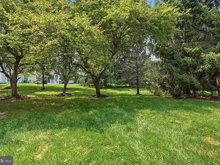 7 Walton Ct — Photo 30