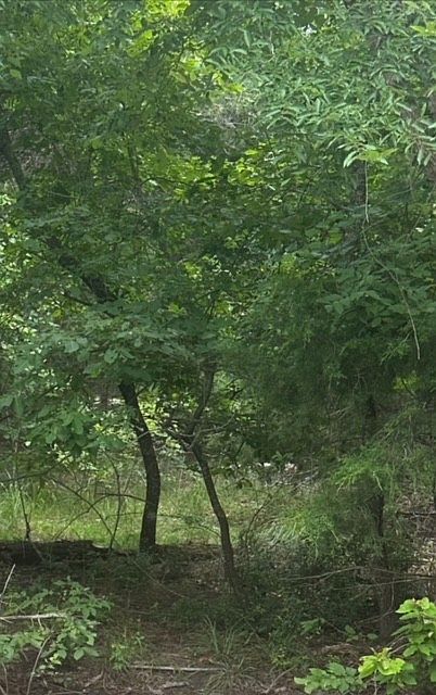 1st image of 0 Pedernales Ct