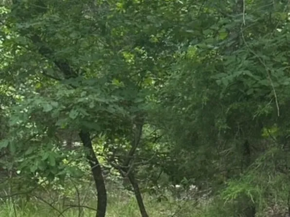 0 Pedernales Ct, Athens, TX 75752