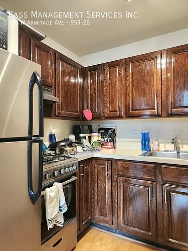 959 W Armitage Ave #2B Photo 1