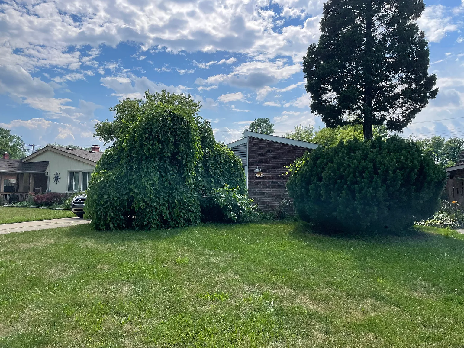 3 bed, 1079 sqft, $1,700 — Photo 1