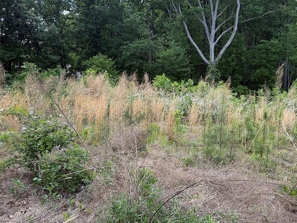 2nd image of 495 Forest View Dr