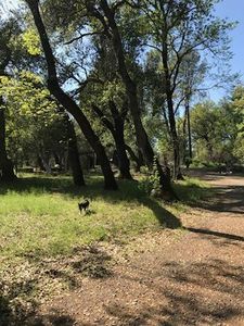 Gospel Rd, Redding, CA, 96003