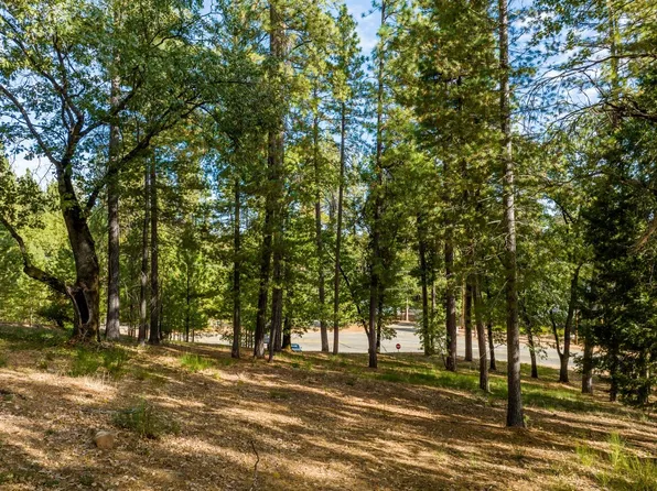 15215 Woodmont Ln, Meadow Vista, CA 95722