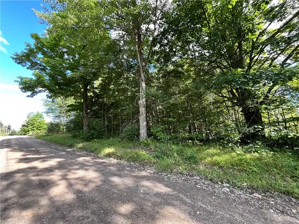 LOT 5 S Greenbush Rd Lot 5, Erin, NY 14838