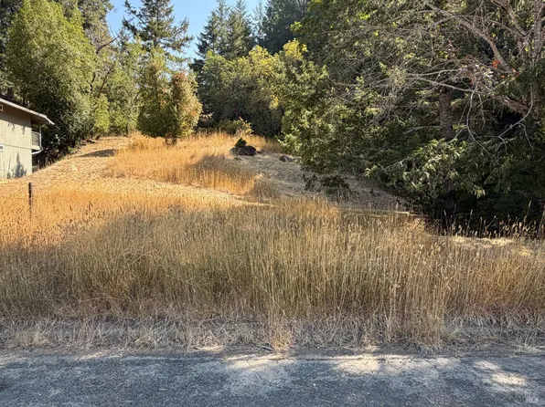 25521 Madrone Way, Willits, CA 95490