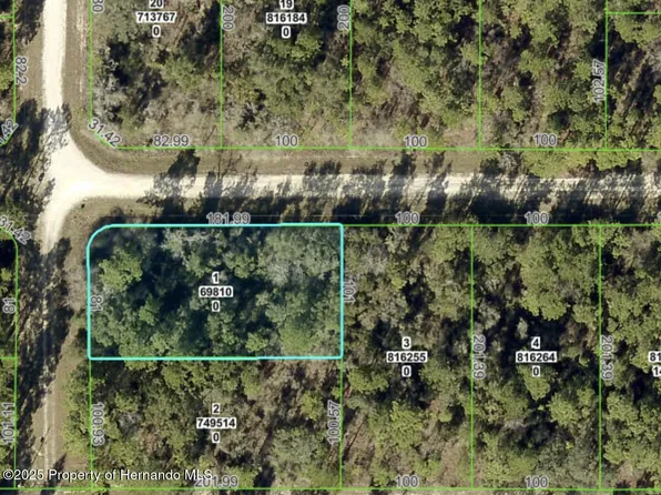 LOT 1 Canvasback Rd, Brooksville, FL 34614