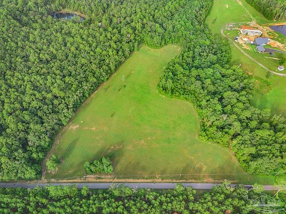 2nd image of Gin Rd