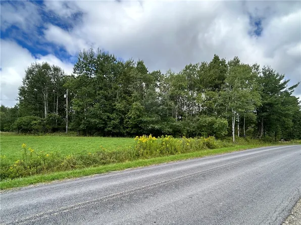 0 Pre Emption Rd Lot 11, Watkins Glen, NY 14891