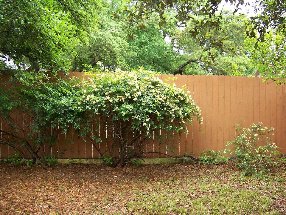 1st image of 12806 Coridan Dr
