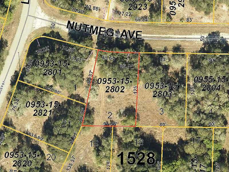 2nd image of Nutmeg Ave